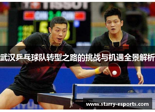 武汉乒乓球队转型之路的挑战与机遇全景解析