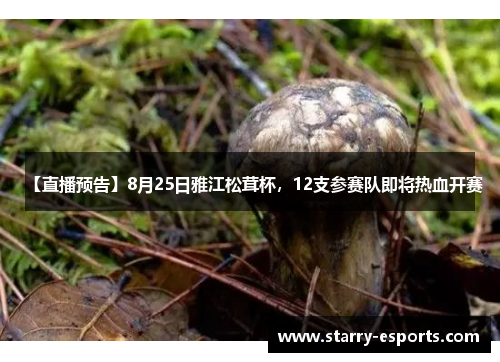 【直播预告】8月25日雅江松茸杯，12支参赛队即将热血开赛